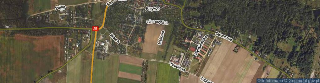 Zdjęcie satelitarne Makowa ul.